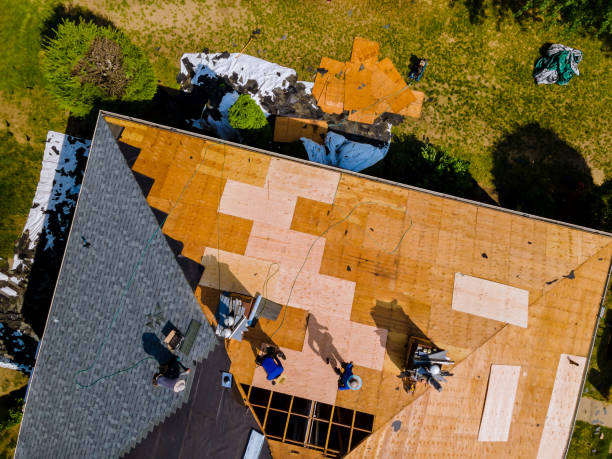 Best Metal Roofing Contractor  in Harmony, PA