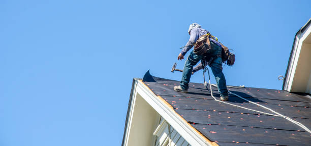 Best Storm Damage Roof Repair  in Harmony, PA